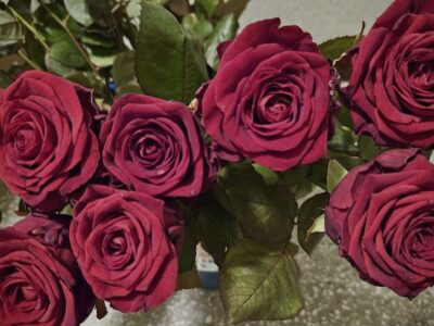 Dzień Kobiet w internacie 